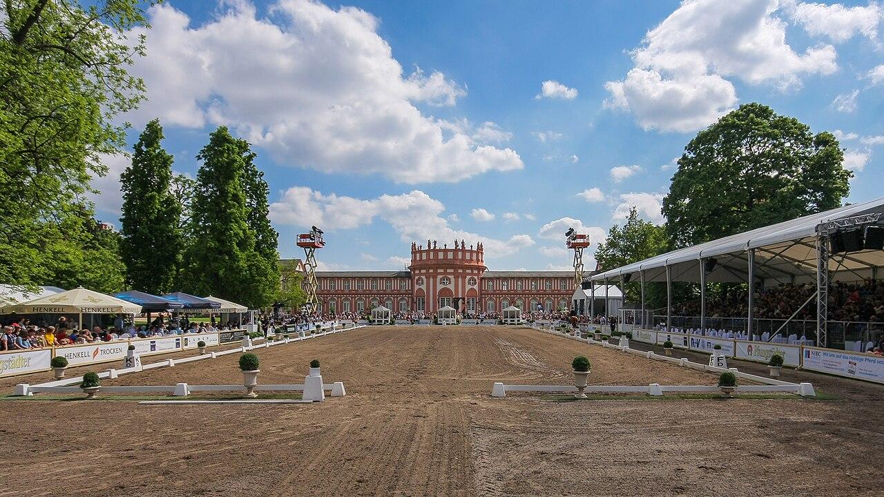 马术科学训练:如何把努力练到点子上(体能康复视角)
